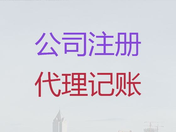 阜宁县公司注册服务